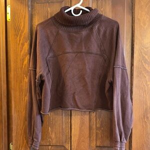 Aerie Brown Turtleneck Sweater